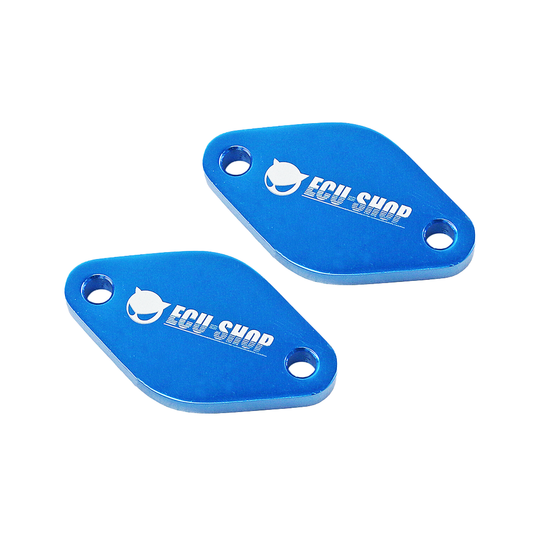 Isuzu KB/DMAX 2012-2021 EGR Blank off plates 2.5L