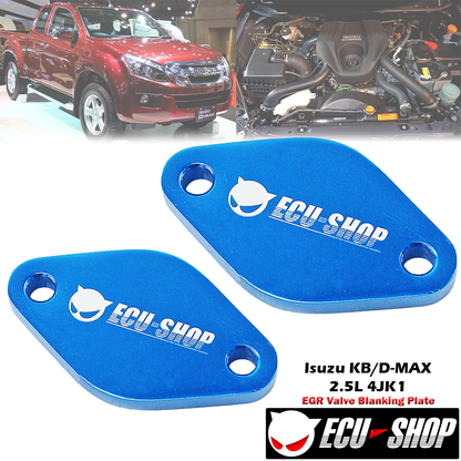 Isuzu KB/DMAX 2012-2021 EGR Blank off plates 2.5L