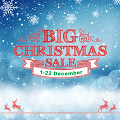 Big Christmas Sale!